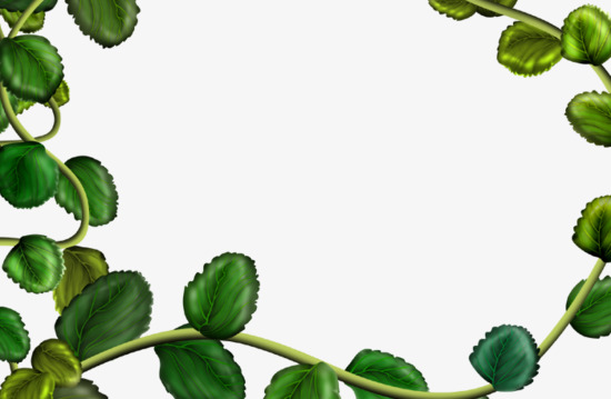 550x359 Green Leaves Border, Frame, Green Leaves, Plant Png Image For Free