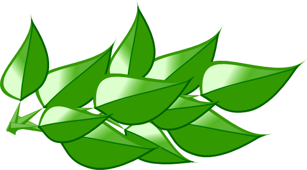 600x333 Leaves 4 Clip Art