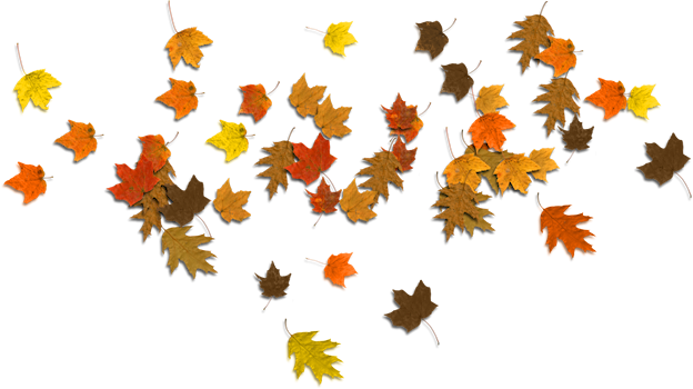 624x350 Fall Leaves Clip Art