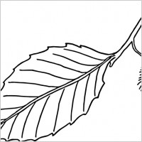 200x200 Apple Leaf Clip Art