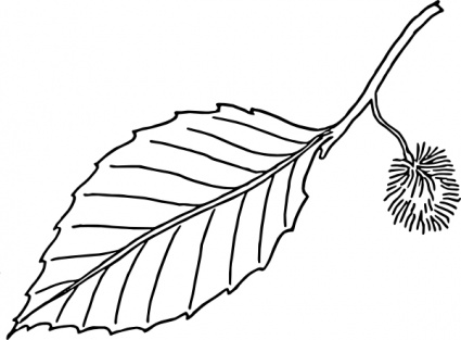 425x313 Mint Leaf Clip Art