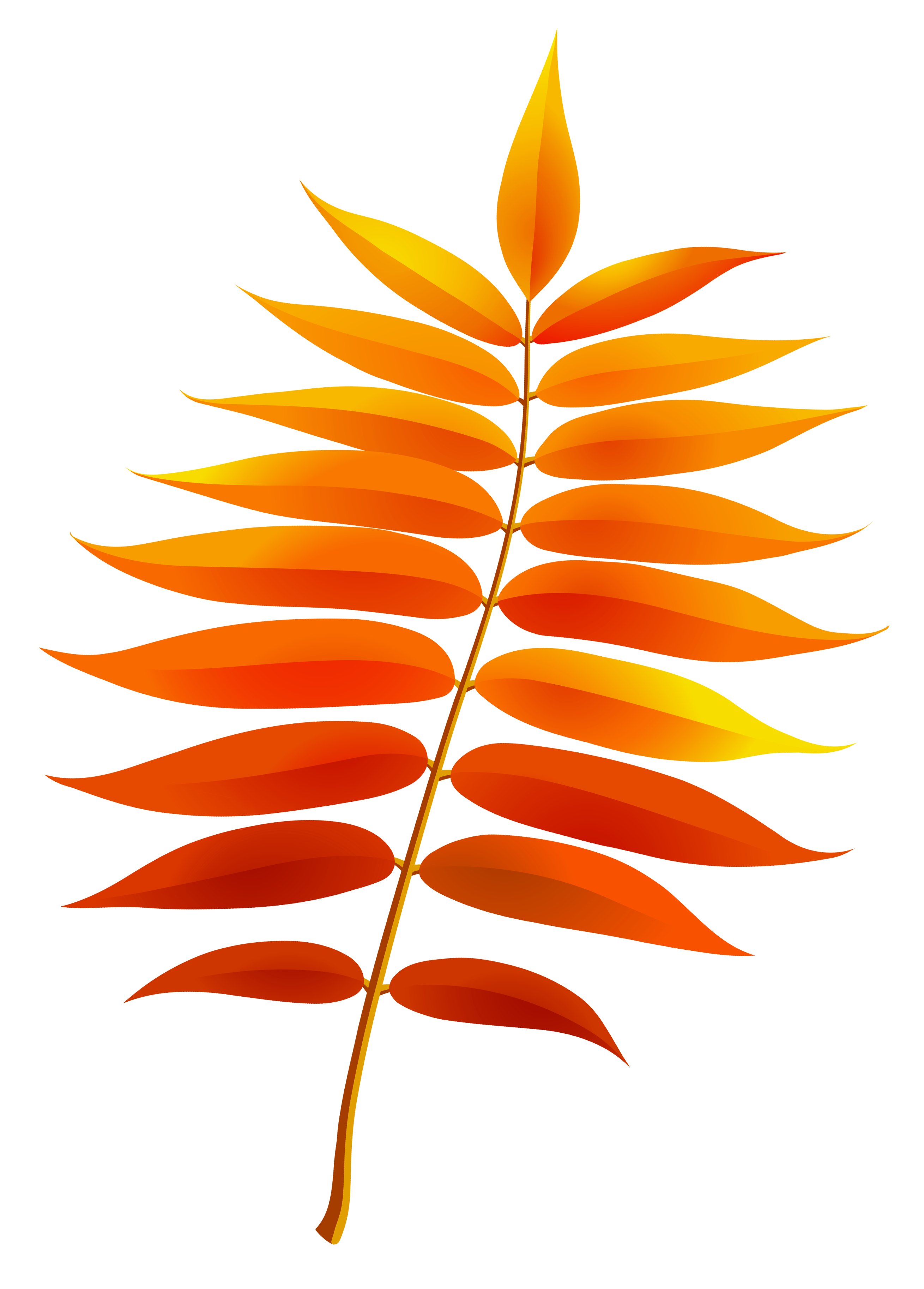 2619x3651 Photos Of Fall Leaf Clip Art Fall Leaves Clip Art Free