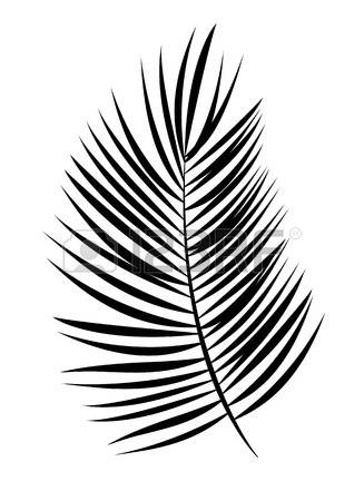 327x450 Coconut Leaves Clipart
