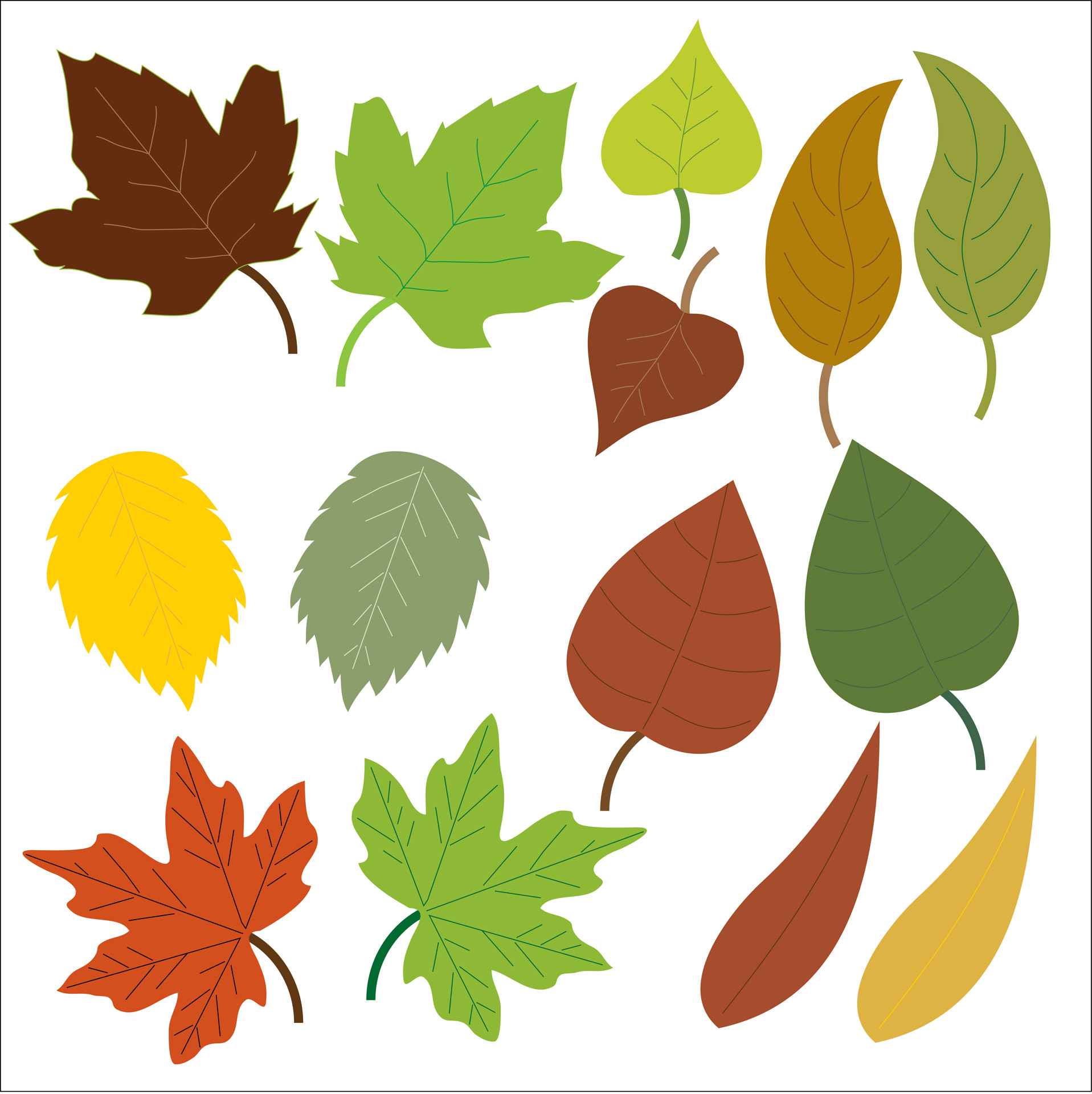 1917x1920 Leaf Clipart Many Interesting Cliparts