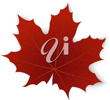350x319 The Best Maple Leaf Clipart Ideas Maple Leaf