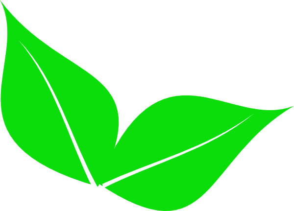 600x431 Two Leaves Clipart