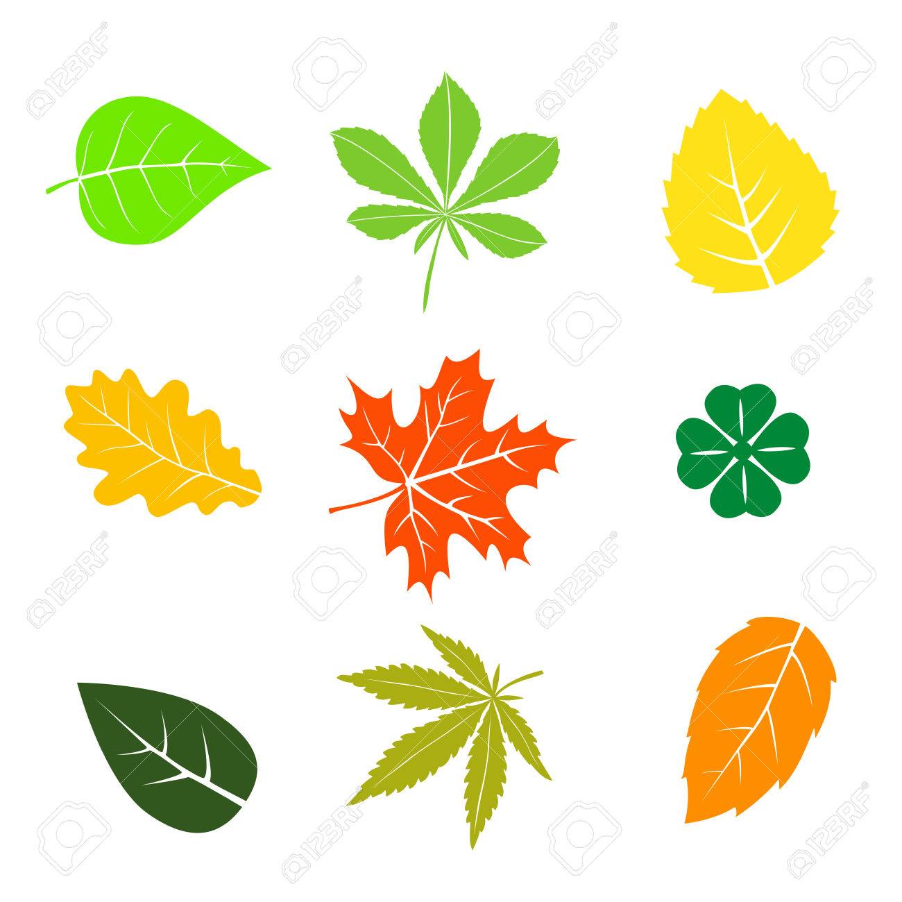 1300x1300 Clip Art Images Of Fall Leaves