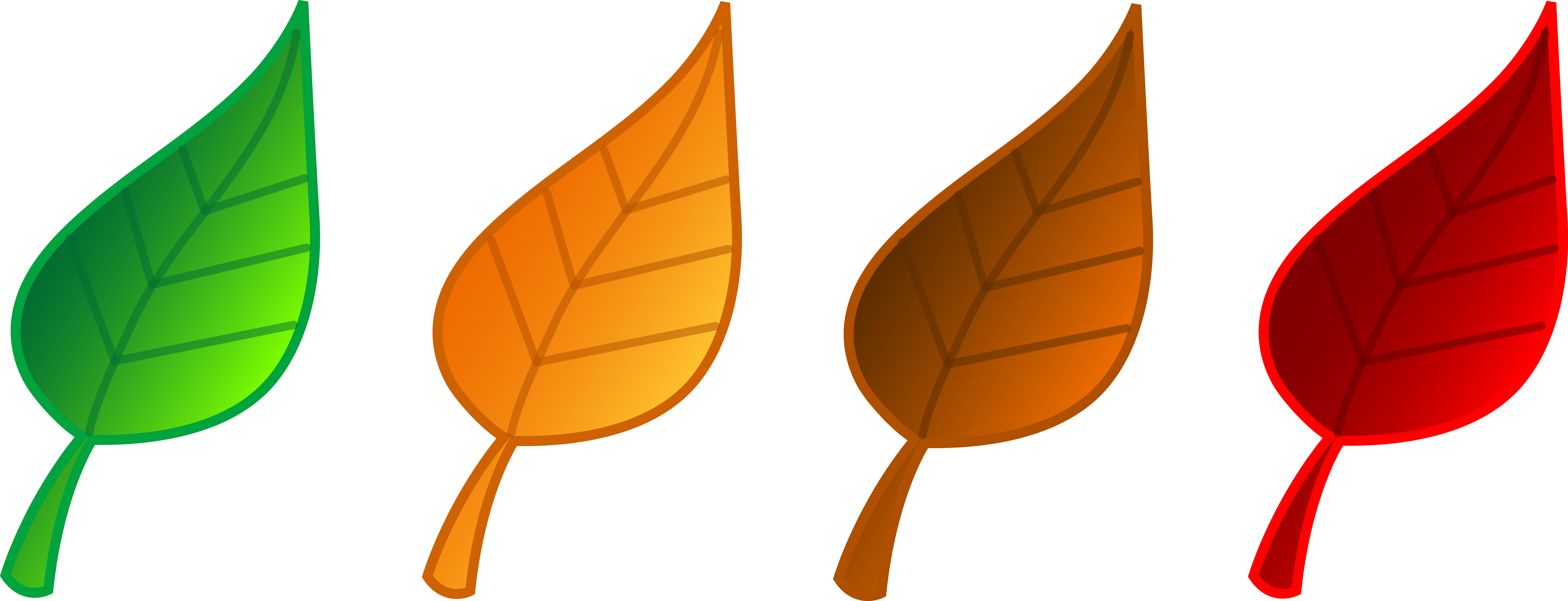 7840x3006 Set Of Four Tree Leaves