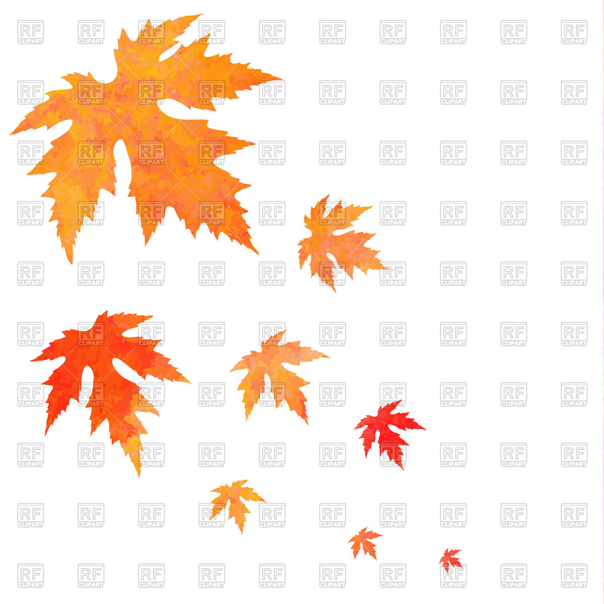 1200x1200 Watercolor Painted Orange Falling Maple Leaves Royalty Free Vector