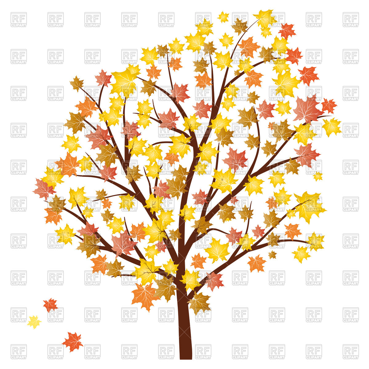 1200x1200 Autumn Maple Tree With Falling Leaves Royalty Free Vector Clip Art