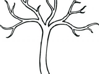320x240 Outline Of A Tree Without Leaves Of A Tree Without Leaves Crayola