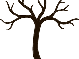 320x240 Outline Of Tree Without Leaves Tree Without Branches Clip Art