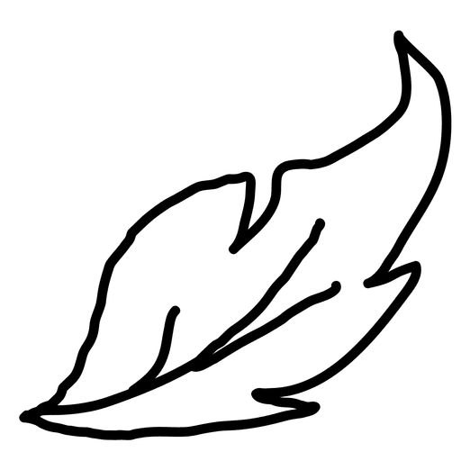 512x512 Plant Leaves Outline