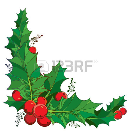 450x450 Vector Twig With Outline Leaves And Berries Of Ilex Or Christmas