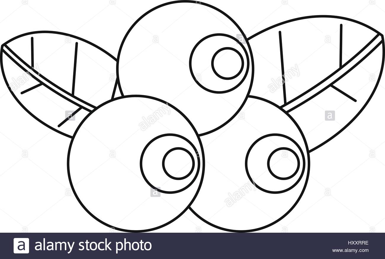 1300x876 Blueberries With Leaves Icon, Outline Style Stock Vector Art