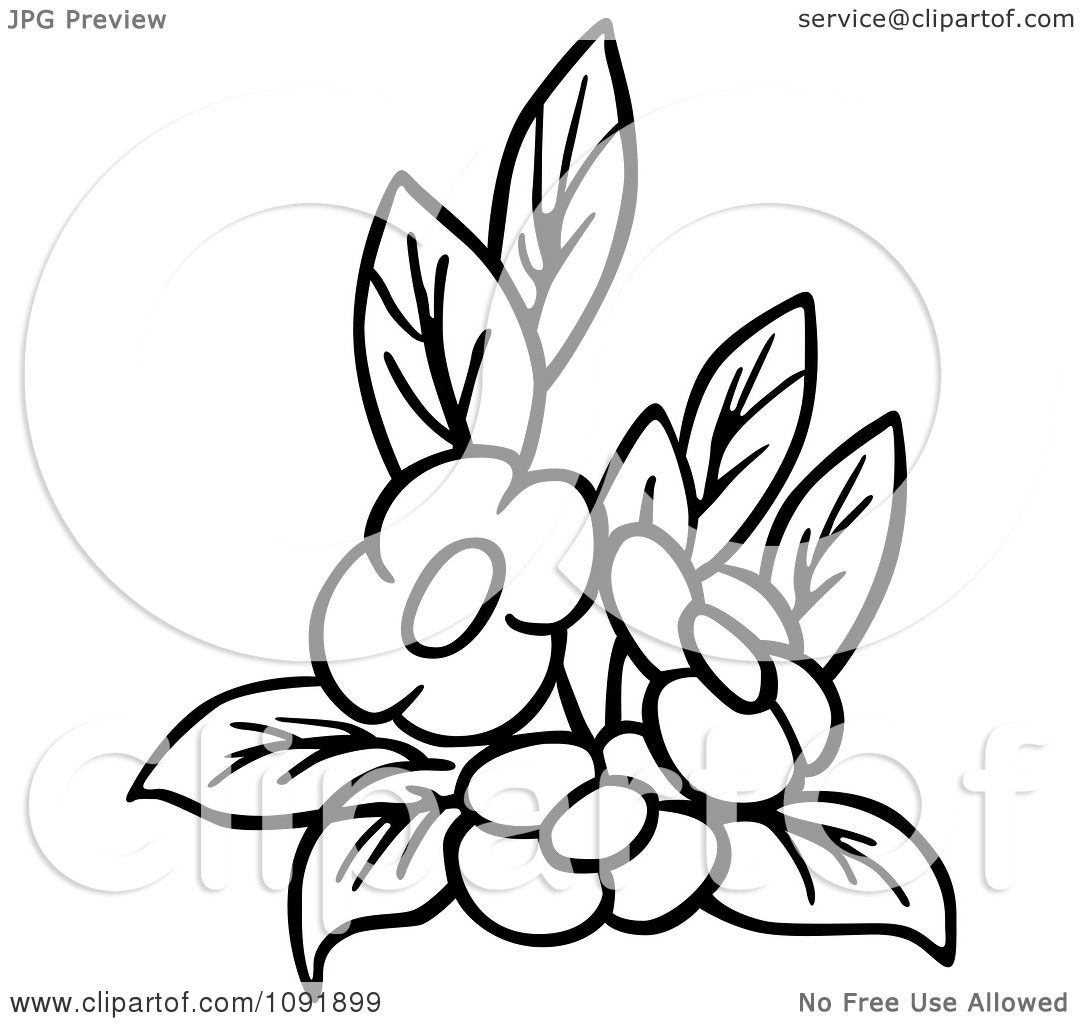 1080x1024 Clipart Outline Of Three Flowers And Leaves