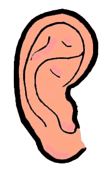 214x334 Ear Clip Art Images Free Clipart