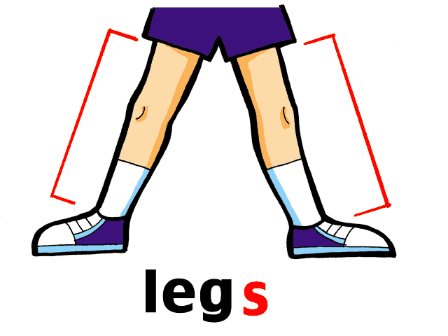 I have four legs. Нога карточка для детей. Leg рисунок. Нога мультяшная. Нога на английском для детей.