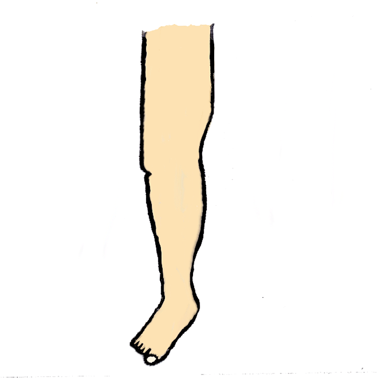 750x750 Legs Clipart Limb