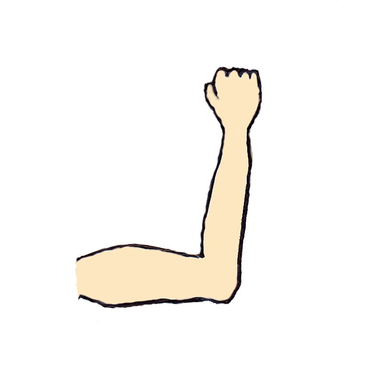 750x750 Legs Clip Art