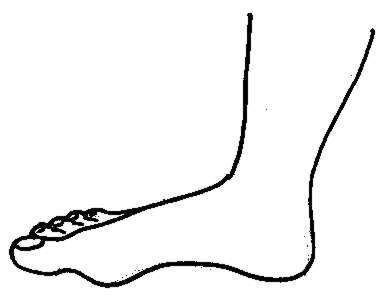 391x296 Legs Clipart Ankle