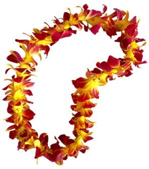 296x337 Graduation Lei Flowers For Graduation Best Quality