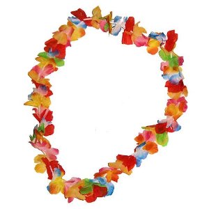 300x300 Hawaii Clipart Flower Necklace