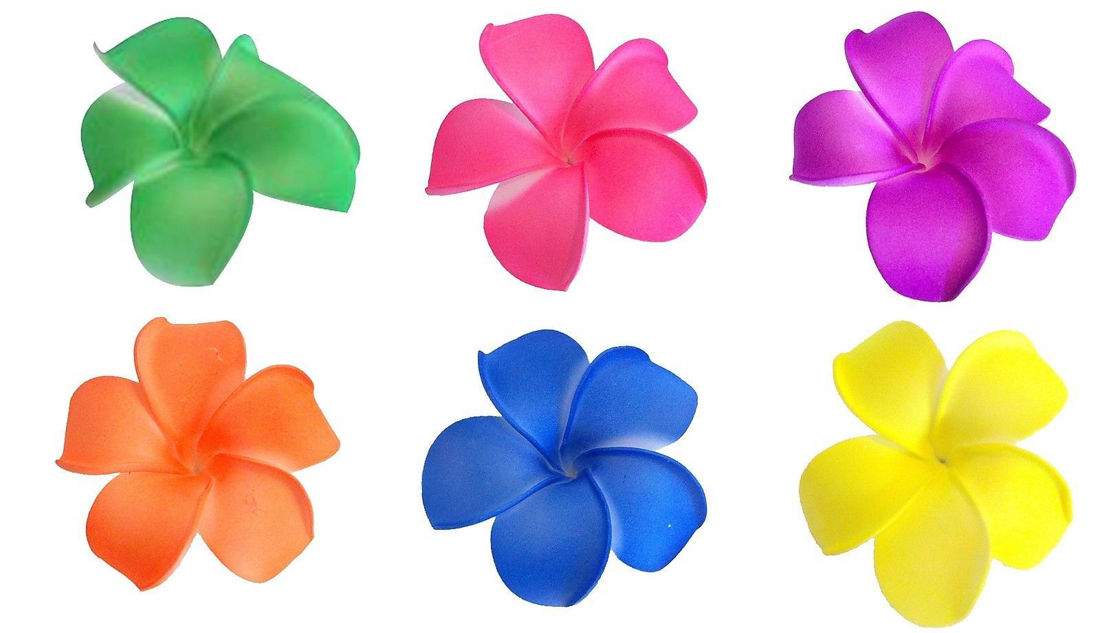 1600x920 Flowers Clipart