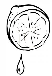 207x300 And White Halved Lemon