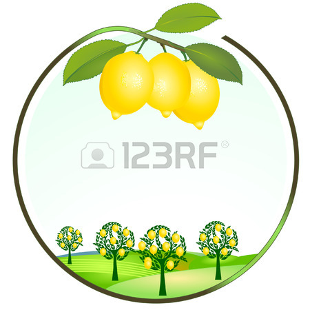 450x450 67,588 Lemon Cliparts, Stock Vector And Royalty Free Lemon