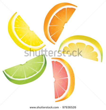 450x470 Lemon Slices Clip Art