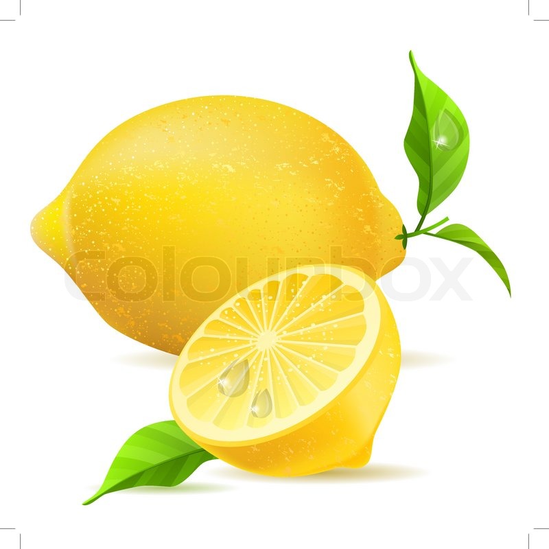 800x800 Fresh Realistic Lemon Isolated On White Stock Vector Colourbox