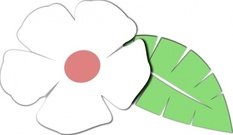 233x135 Lemon Lime Clip Art, Vector Lemon Lime