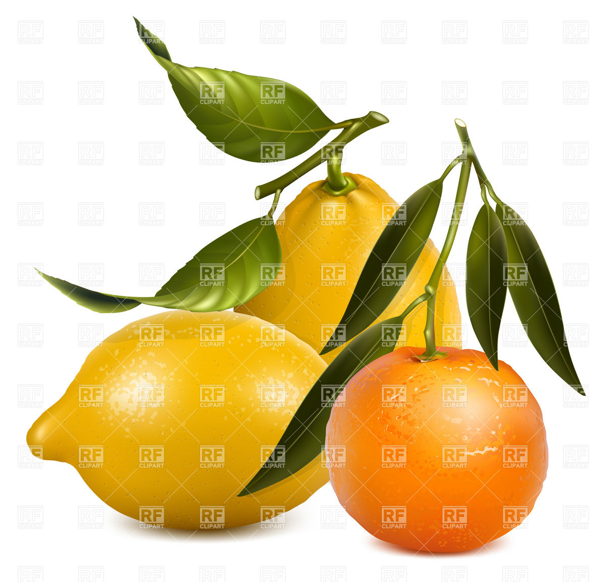 1200x1152 Mandarin And Lemons With Leaves Royalty Free Vector Clip Art Image