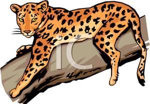 300x209 Jaguar Clipart Leopard