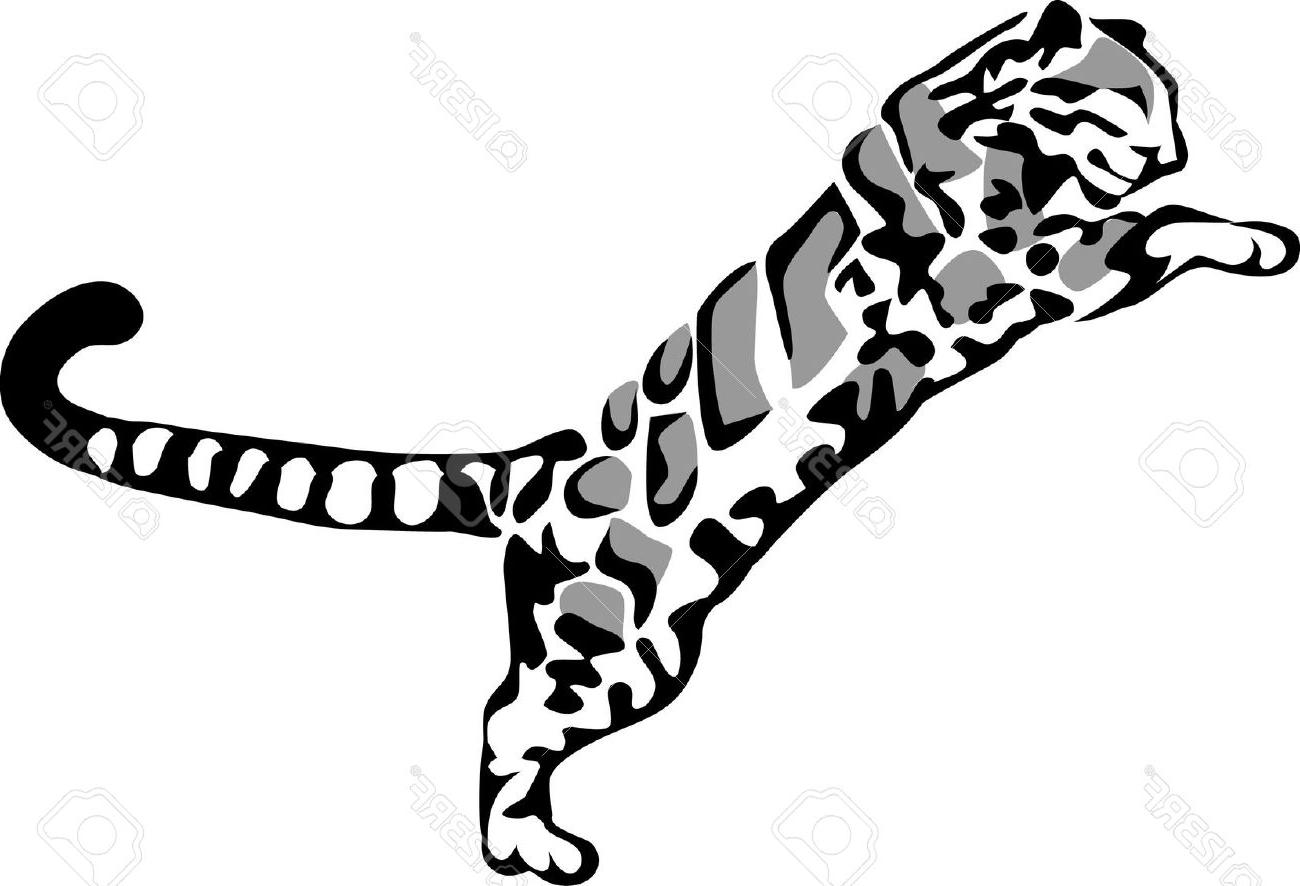 1300x886 Top 10 Clouded Leopard Clipart Library