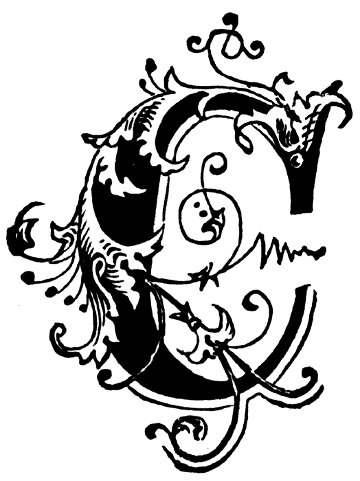 524x700 I'M All About The Letter C Favoritist