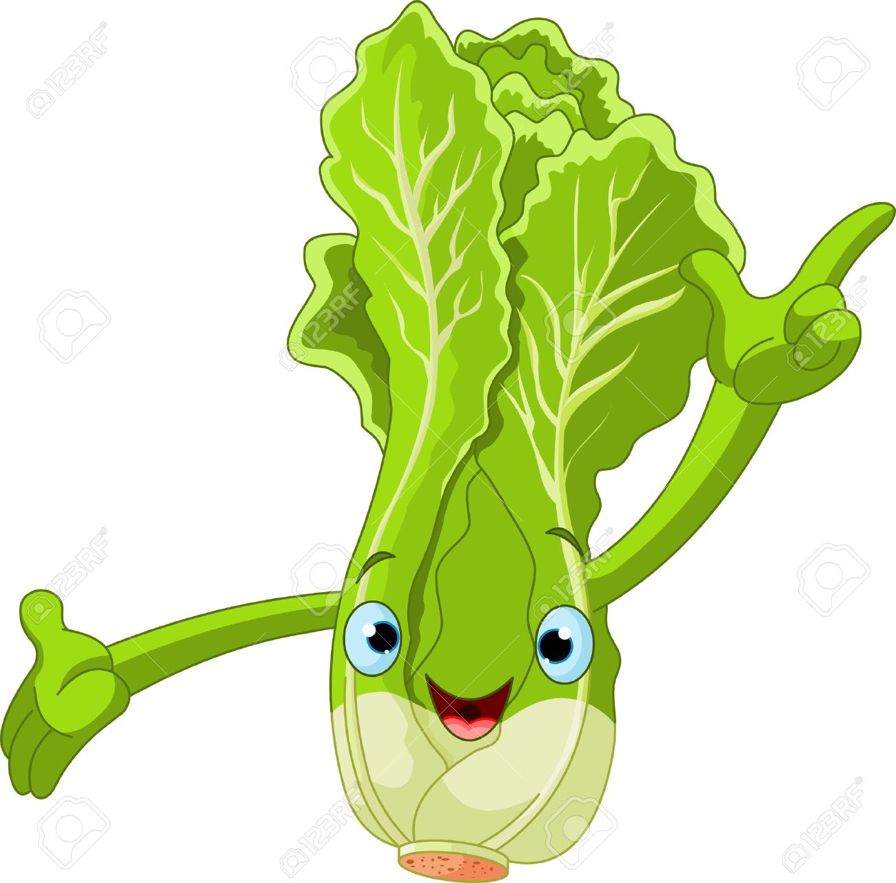 Lettuce Cartoon