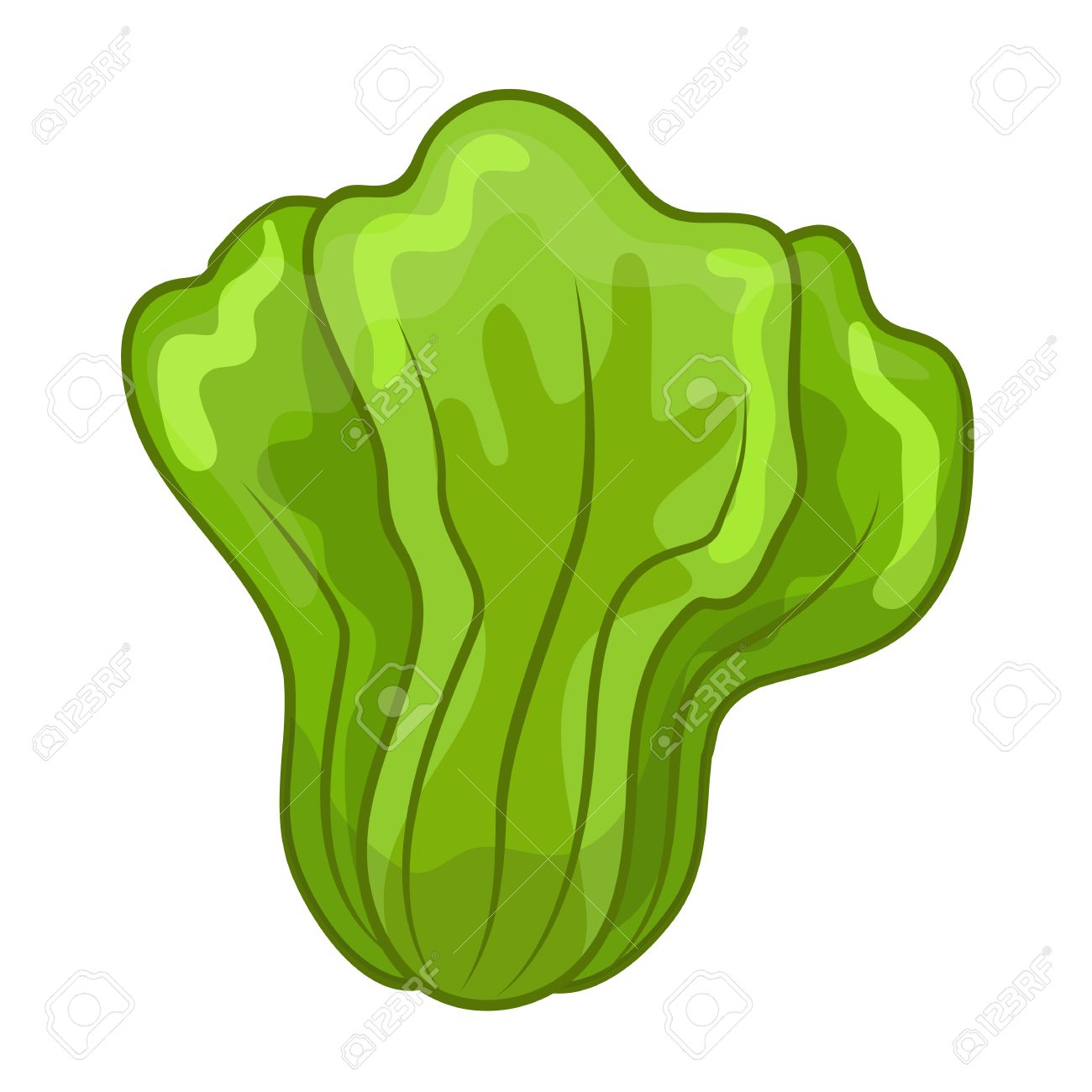 1300x1300 Green Lettuce Cartoon Isolated Illustration On White Background