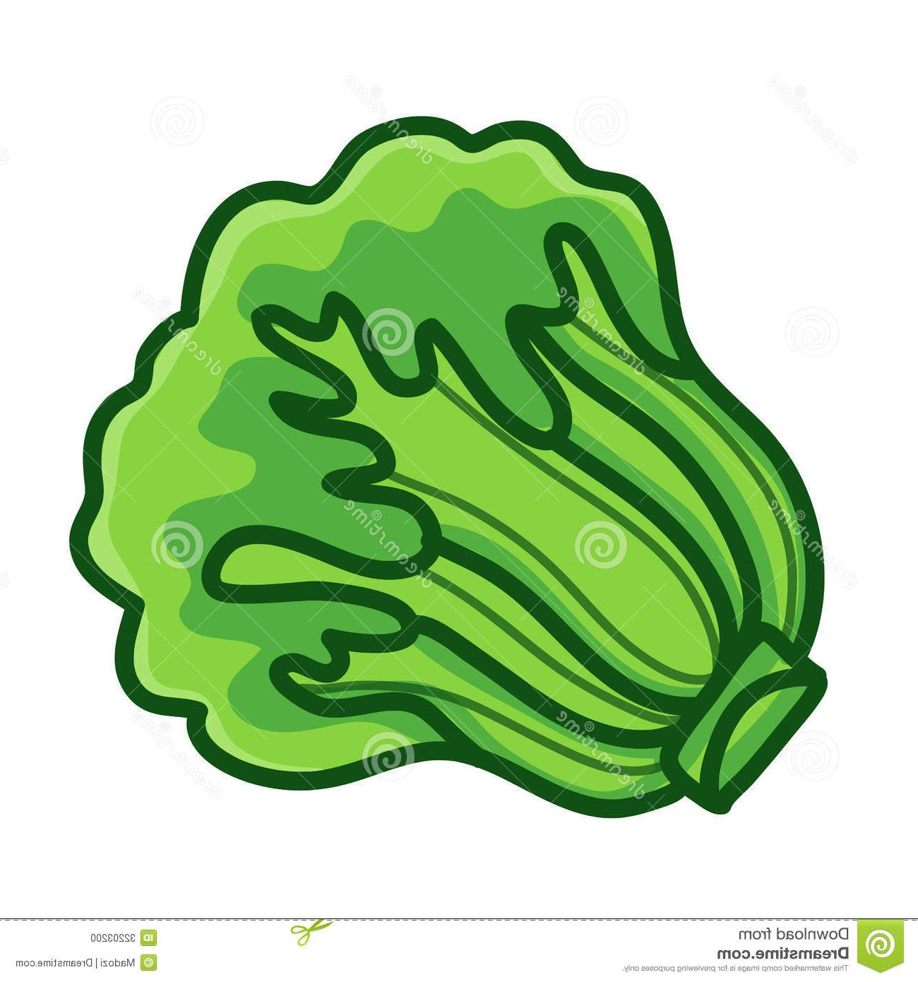 Lettuce Cartoon | Free download on ClipArtMag