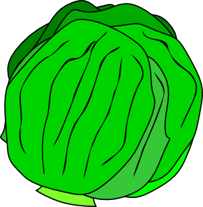 291x297 Whole Lettuce Clip Art