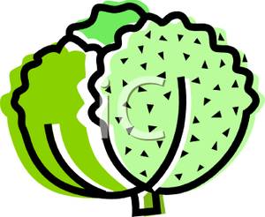 300x246 Head Of Lettuce Clip Art Image