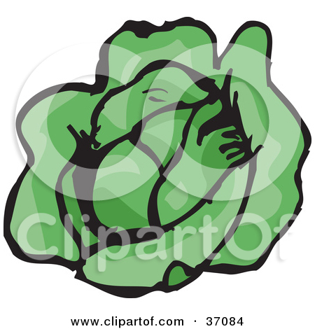 450x470 Head Of Lettuce Clipart
