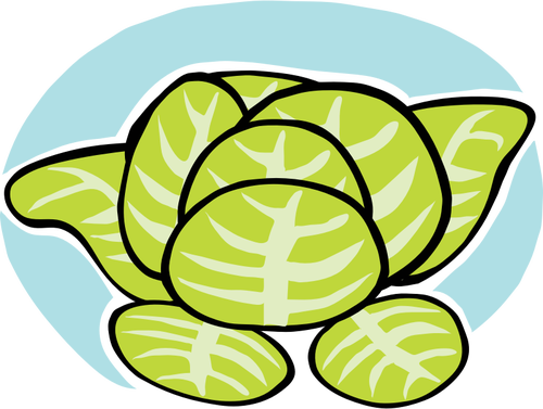 500x377 Iceberg Lettuce Vector Clip Art Public Domain Vectors