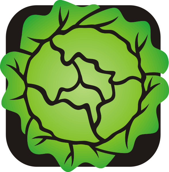 588x598 Lettuce Clip Art