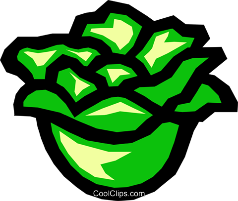Lettuce Clipart | Free download on ClipArtMag