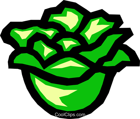 480x407 Lettuce Royalty Free Vector Clip Art Illustration Food0362