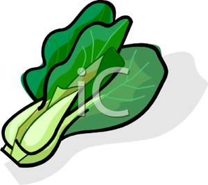 300x267 Picture Chinese Lettuce
