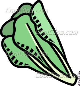 281x300 Romaine Lettuce Vector Clip Art