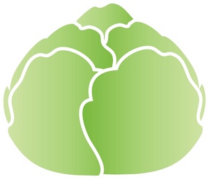 300x257 Free Lettuce Clipart Image 0071 0901 2402 4911 Acclaim Clipart